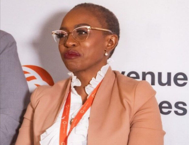 Revenue Services Lesotho Introduces Income Tax on E-Taxation Platform