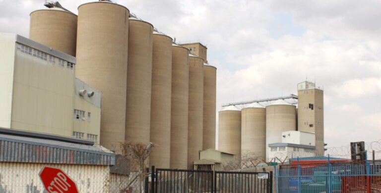 Lesotho Flour Mills Responds to Southern Africa’s Drought Crisis