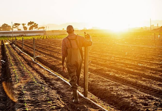 US Tariffs on South African Exports Pose Major Threat to Jobs and Economy