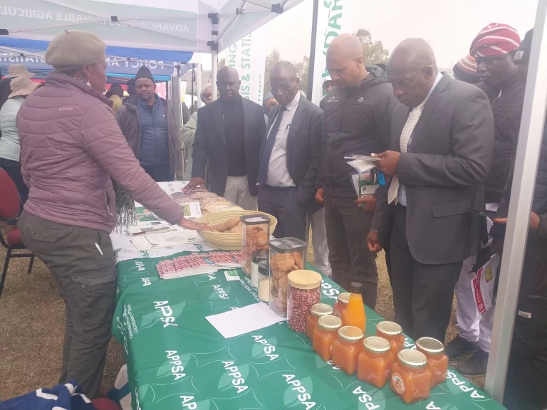 Lesotho Vegetable Market Update (18 Jul – 14 Aug 2025)