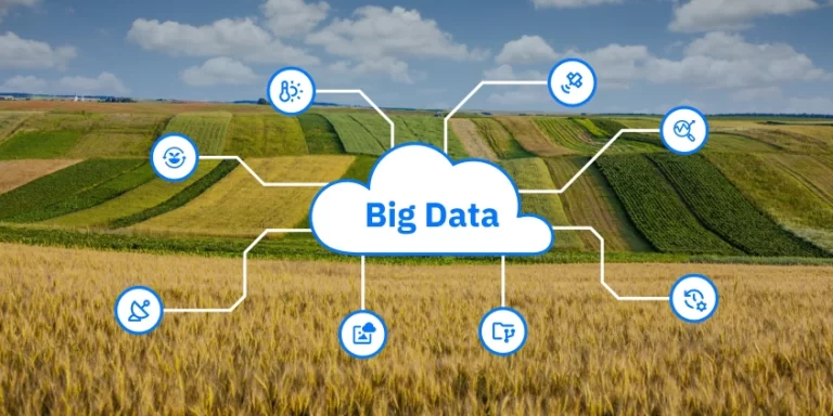 Farming Without Facts Is Just Guesswork: Why Lesotho Needs a Data Revolution on the Land