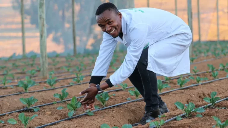 Farming as the Country’s Hidden Wealth
