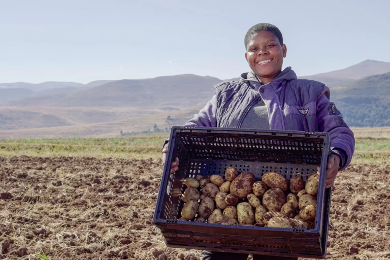 Lesotho’s potato priority
