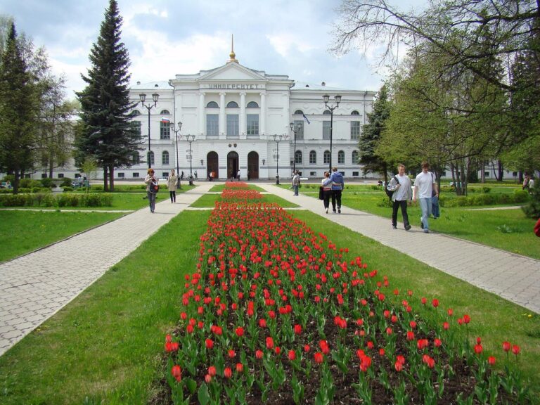 Tomsk State University has launched a free online Russian language course for the citizens from Lesotho and South Africa 