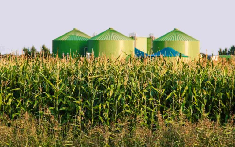 From fields to factories: why agricultural funds are industrial policy in disguise