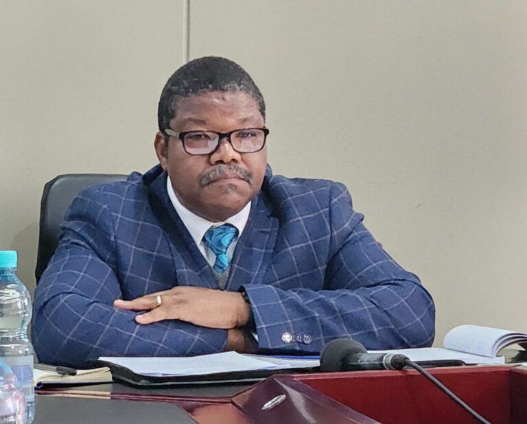 IEC reinstates four parties under court order and confirms Macheli as accounting officer