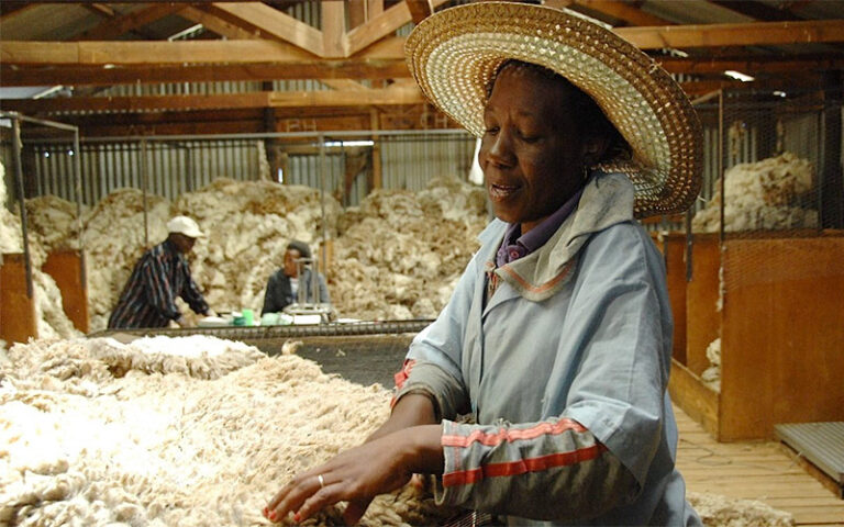 Wool exports near clearance after foot-and-mouth curbs